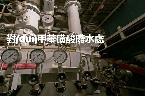 對(duì)甲苯磺酸廢水處理的突破性進(jìn)展？